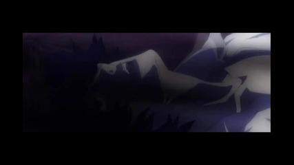 Darker Than Black Injection