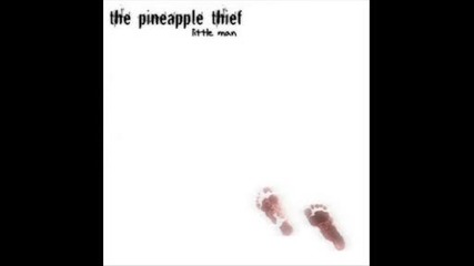 Pineapple Thief - Run a Mile