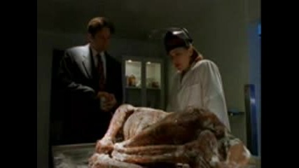 The X Files S04 E20 - Small Potatoes
