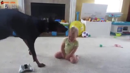 Дружба между куче и малко дете