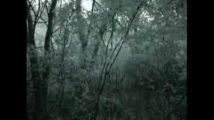 Searching For Bigfoot Monroe County Ny