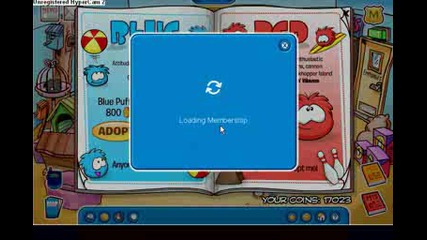 No Member - No Puffle