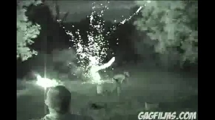 Fireworks mayhem