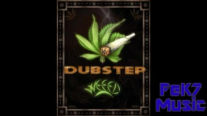Snoop Dogg- Smoke Weed Everyday Dubstep