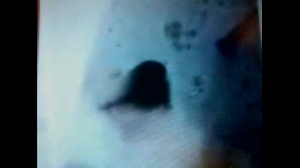 Smotanite16