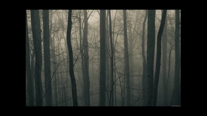 Ben Verse - Wilderness