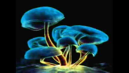 Infected Mushrooms - Acid Killer 
