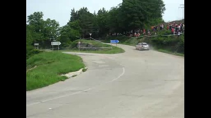 Рали Вида 2009