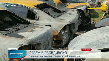 Задържаха мъж за палеж на 8 таксиметрови коли в Пловдивско