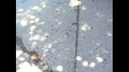 Honda Cbr600f3 Burnout