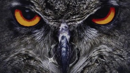 Shakra -eye to Eye 2016