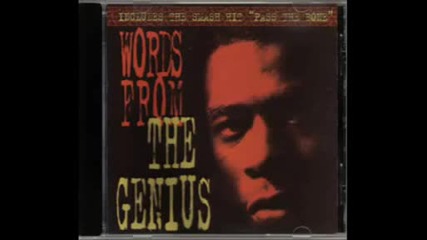 The Genius Gza - What Are Silly Girls Made Of