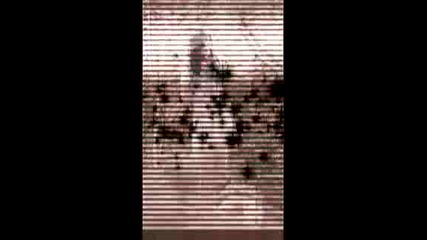 demi L O V A T O