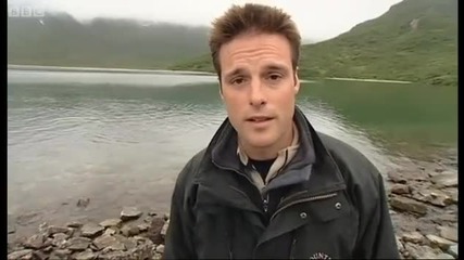 Lights, camera, grizzly bear! - Deep into the Wild - Bbc 