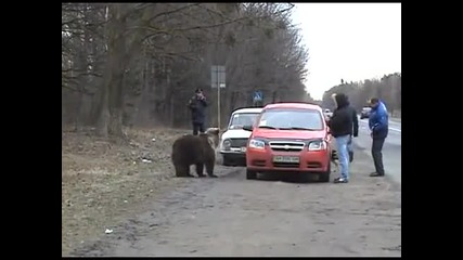 Пътна атракция в Русия 