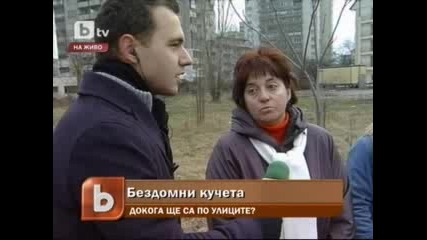 Докога ще има бездомни кучета [1]
