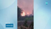 Пожарът край видинските села е локализиран