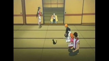 Bleach Episode 23
