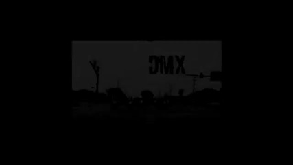 Dmx - Already