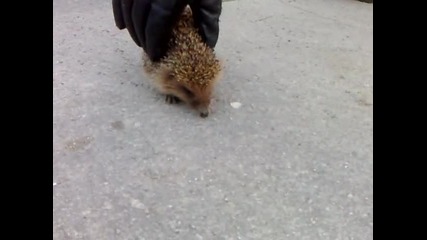 Taralej racing :d