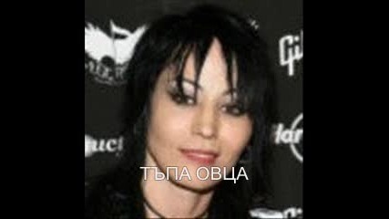 Руслан Мъйнов-тъпа Овца