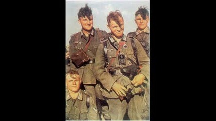 Sleipnir - Mein bester Kamerad