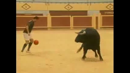 C.ronaldo Vs Bull 