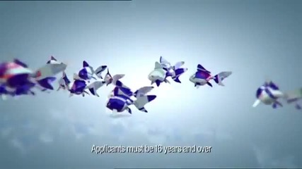 Red Bull Canimation Competition Intro