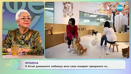 В Китай домашните любимци вече сами изкарват прехрана си - „На кафе“ (16.10.2024)