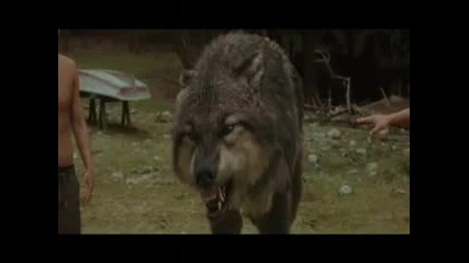 Twilight New Moon Wolfpack The Making 