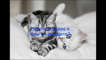 Загадка ({[4)}]