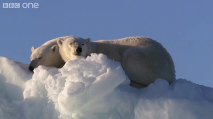 Hd Arctic Melt Time Lapse - Nature 