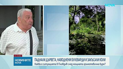 След бурята в Пловдив: Служби и граждани обединиха сили в разчистването на града
