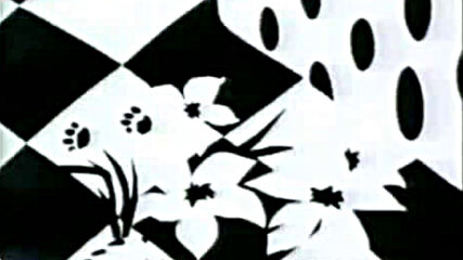 Mtv Bumper - Sweet Kittyvia torchbrowser.com