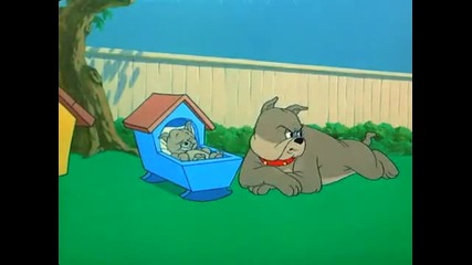 Tom and Jerry - Hic - cup Pup 