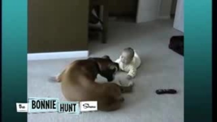 Baby and Boxer Seen on The Bonnie Hunt Show