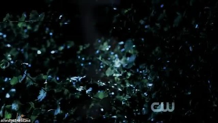 Stefan & Elena