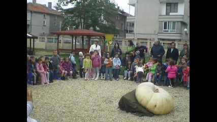 Последният ден на голямата 180 кг тиква 4 