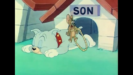 Tom and Jerry - Love That Pup