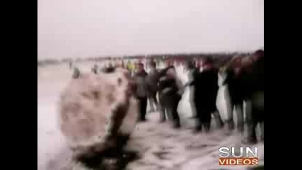 Ето Как Си Играят През Зимата
