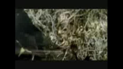 T.i feat Justin Timberlake - Dead and Gone