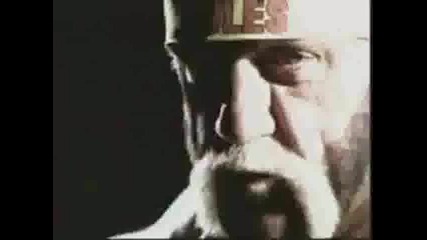 Hulk Hogan Tinatron
