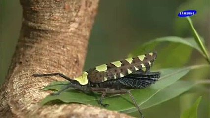 The Beauty Of Nature 