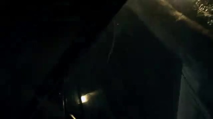 Живота на една елха 