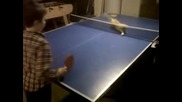 Котка играе пинг понг и се справя страхотно !