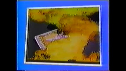 Lepa Lukic - Sudbino, suzo sudbino