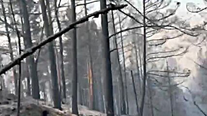 Евакуация, изпепелени къщи и пламъци: Югозападна България е в капана на огнената стихия