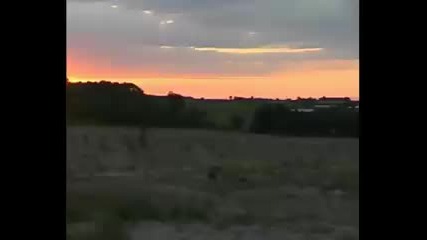 free style български мотористи