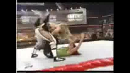 Trish Stratus Tribute