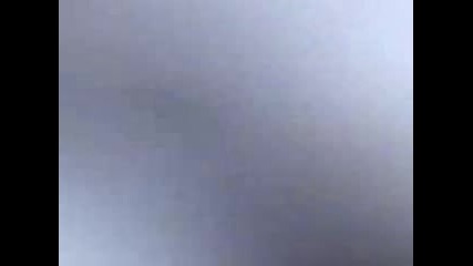 Уригнята